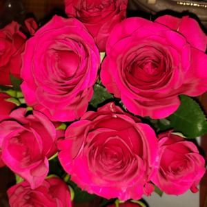 Meet your Posher, Areli